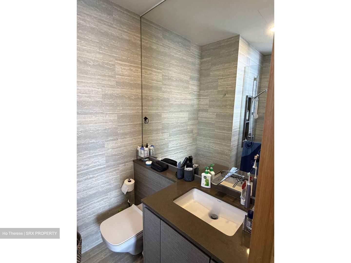 The Crest (D3), Condominium #560275731
